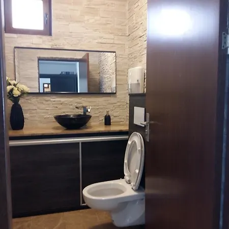 Villa Casa De Vacanta Ovidiu